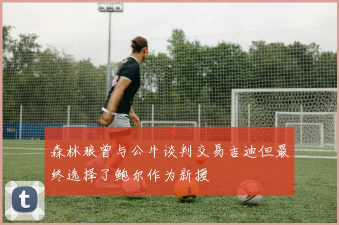森林狼曾与公牛谈判交易吉迪但最终选择了鲍尔作为新援