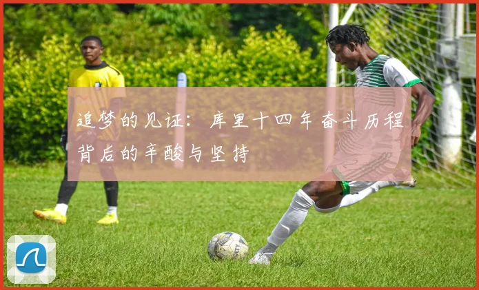 追梦的见证：库里十四年奋斗历程背后的辛酸与坚持