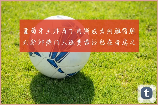 葡萄牙主帅马丁内斯成为利雅得胜利新帅热门人选费雷拉也在考虑之中