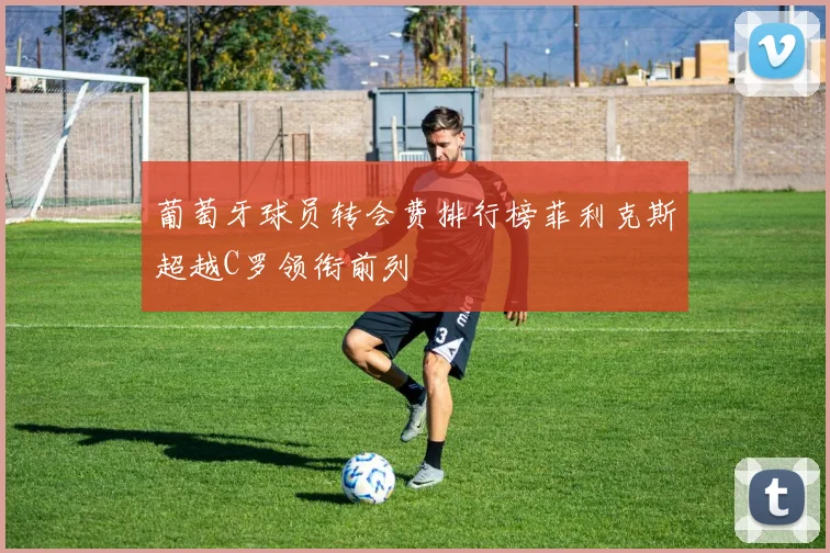 葡萄牙球员转会费排行榜菲利克斯超越C罗领衔前列